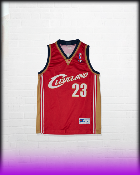 VINTAGE LEBRON JAMES CAVALIERS JERSEY